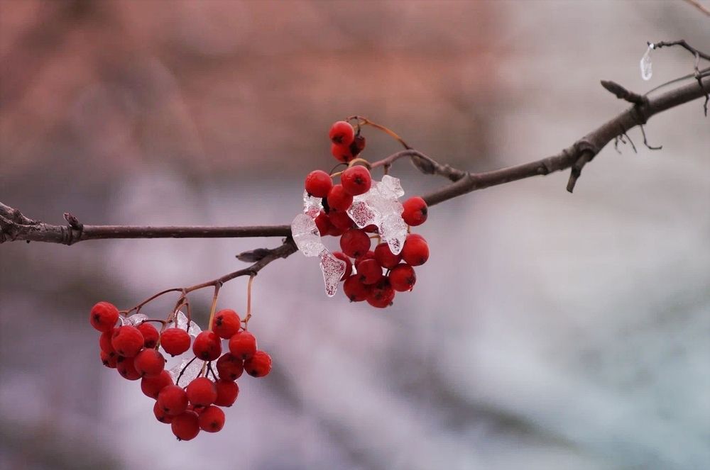 Photograph by Светлана Логинова