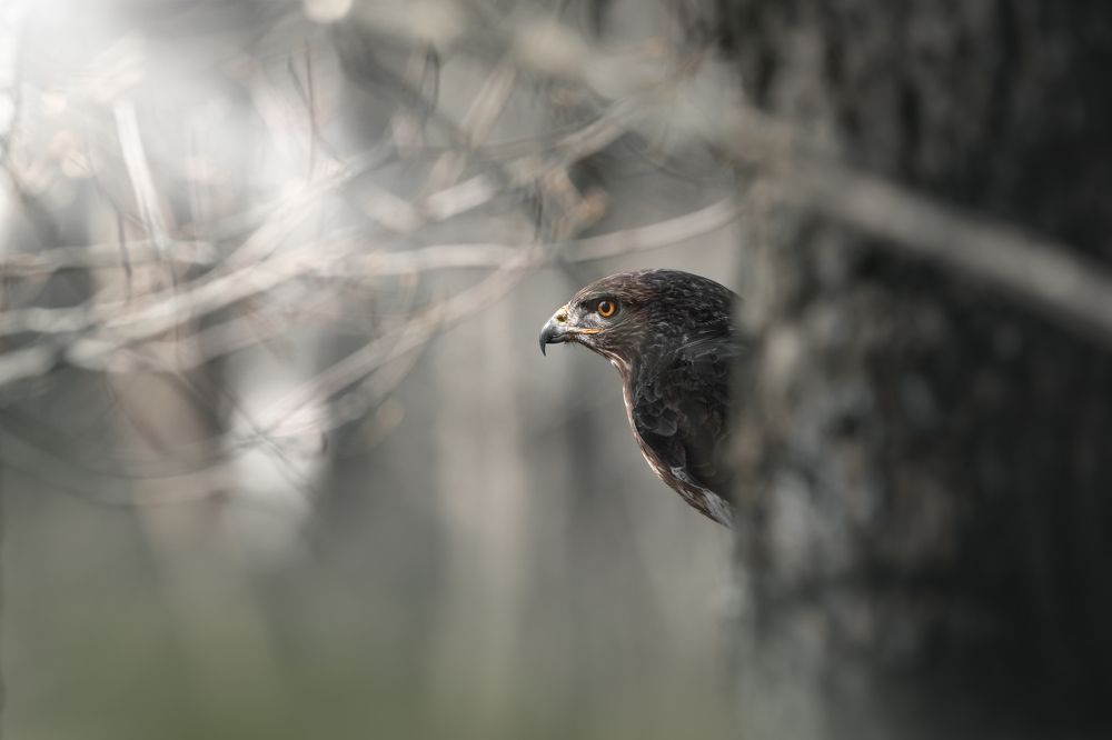 Photograph by Damian Kozik