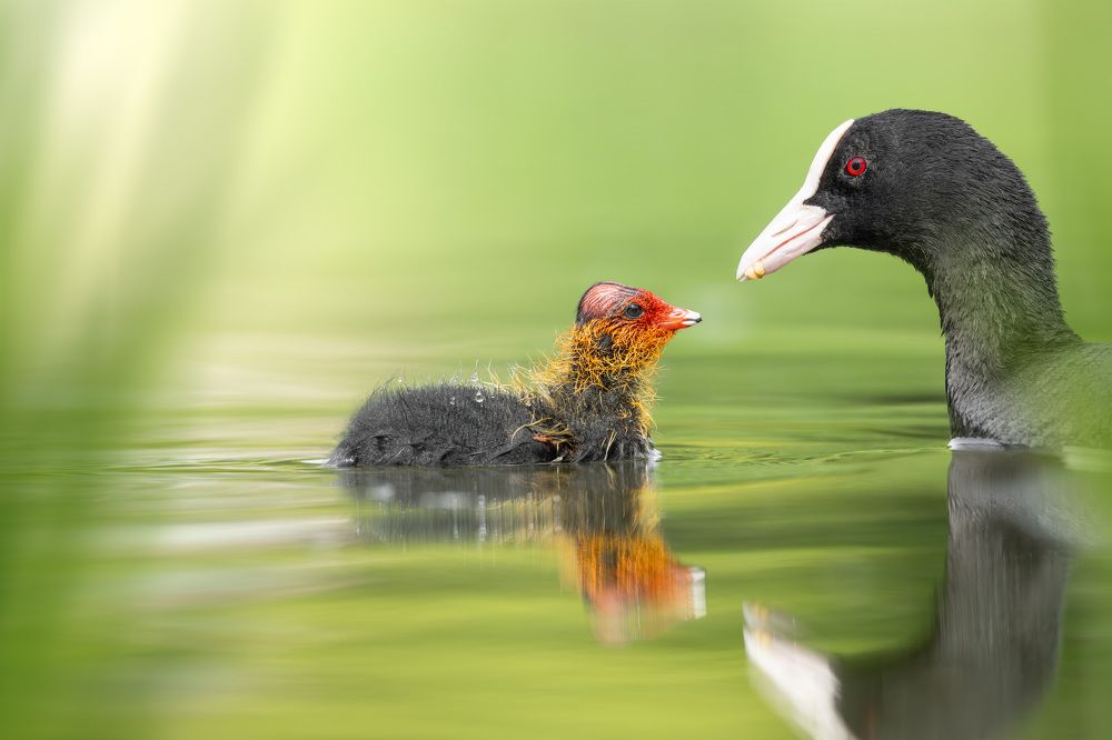 Photograph by Damian Kozik