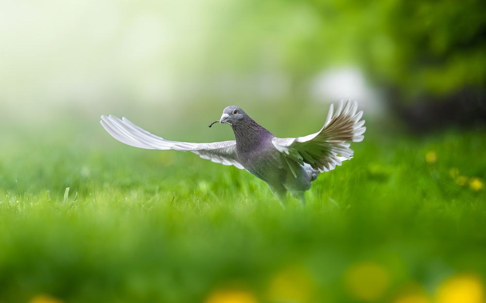 Photograph by Damian Kozik