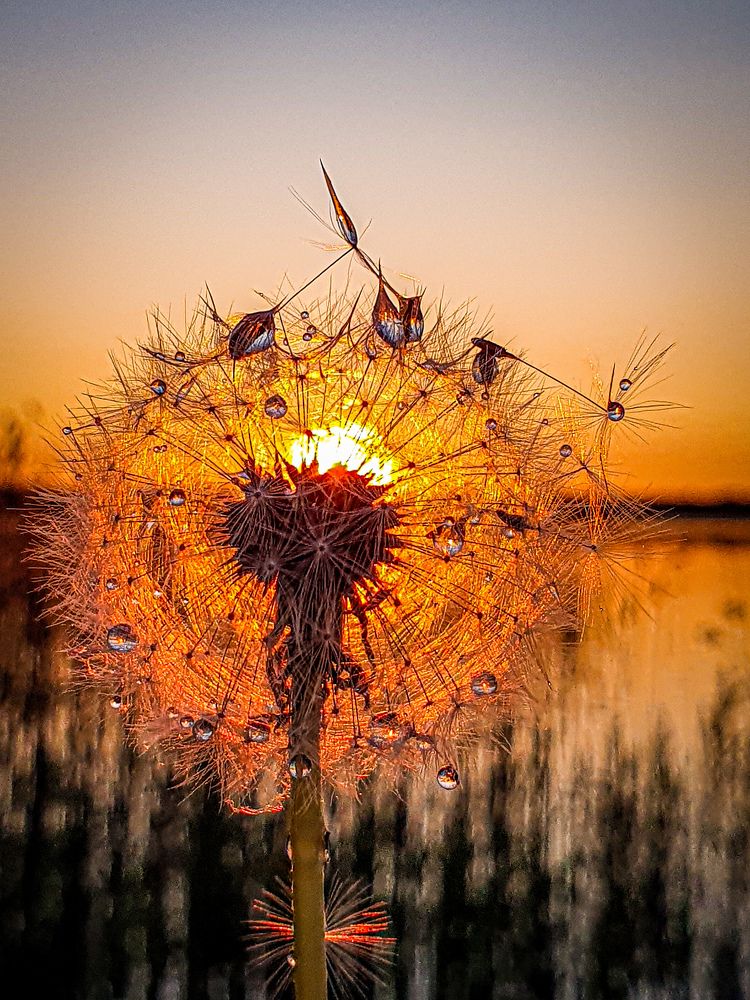 Фотография автора Ольга Шишук