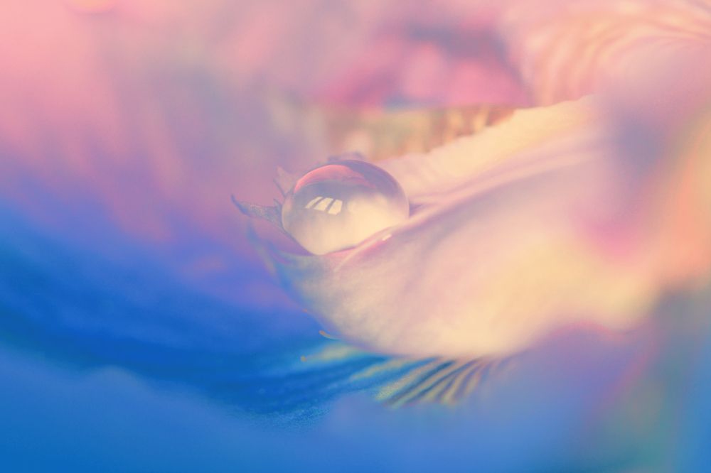 Photograph by Кос Виктория