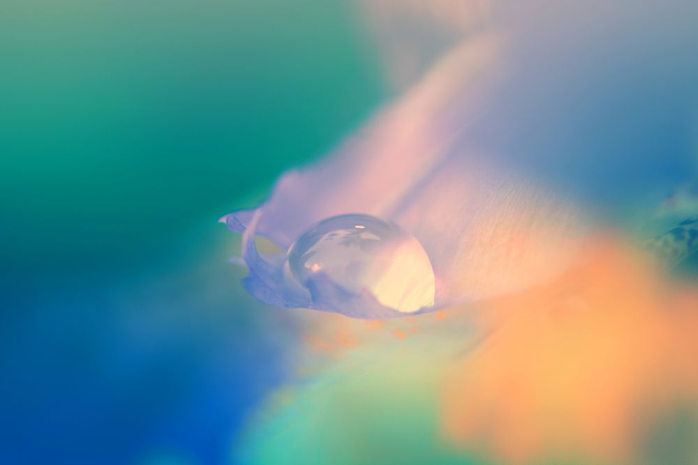 Photograph by Кос Виктория