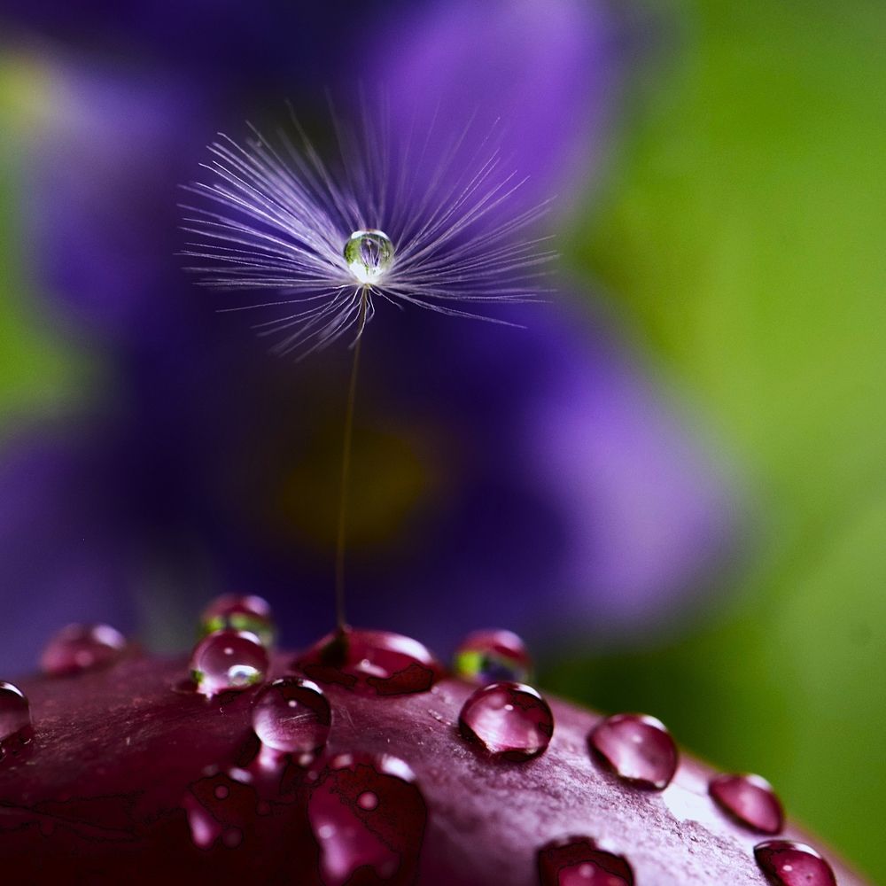 Photograph by Альбина Хвастунова