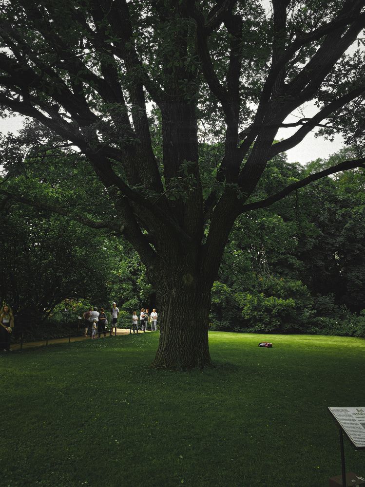 Photograph by Anastasia Muratidi