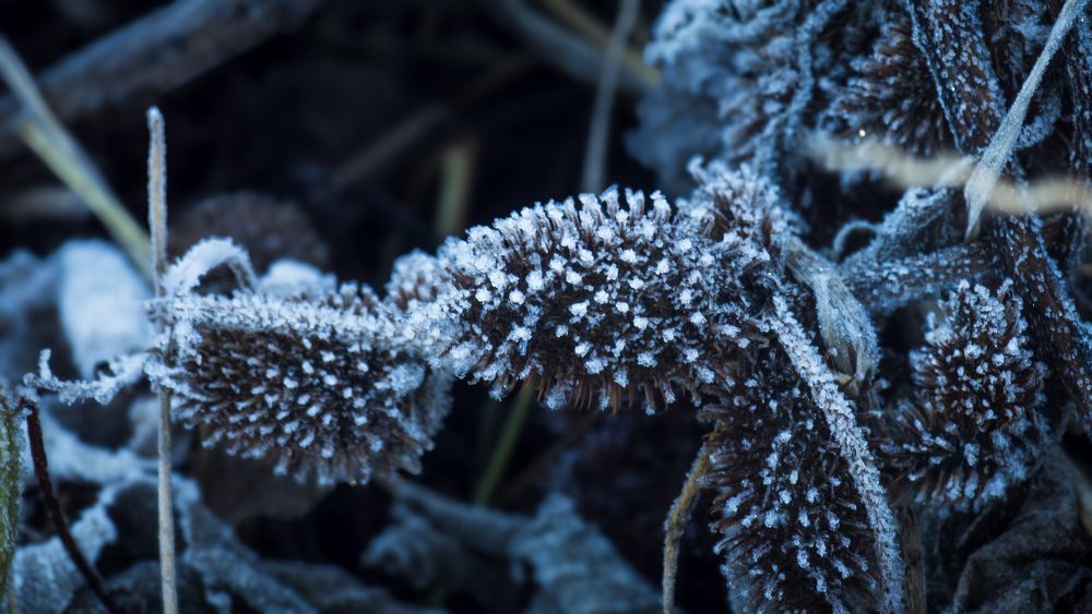 Photograph by Алина Орлова