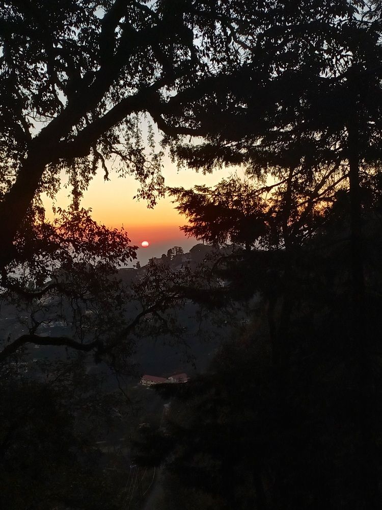 Photo #11466981