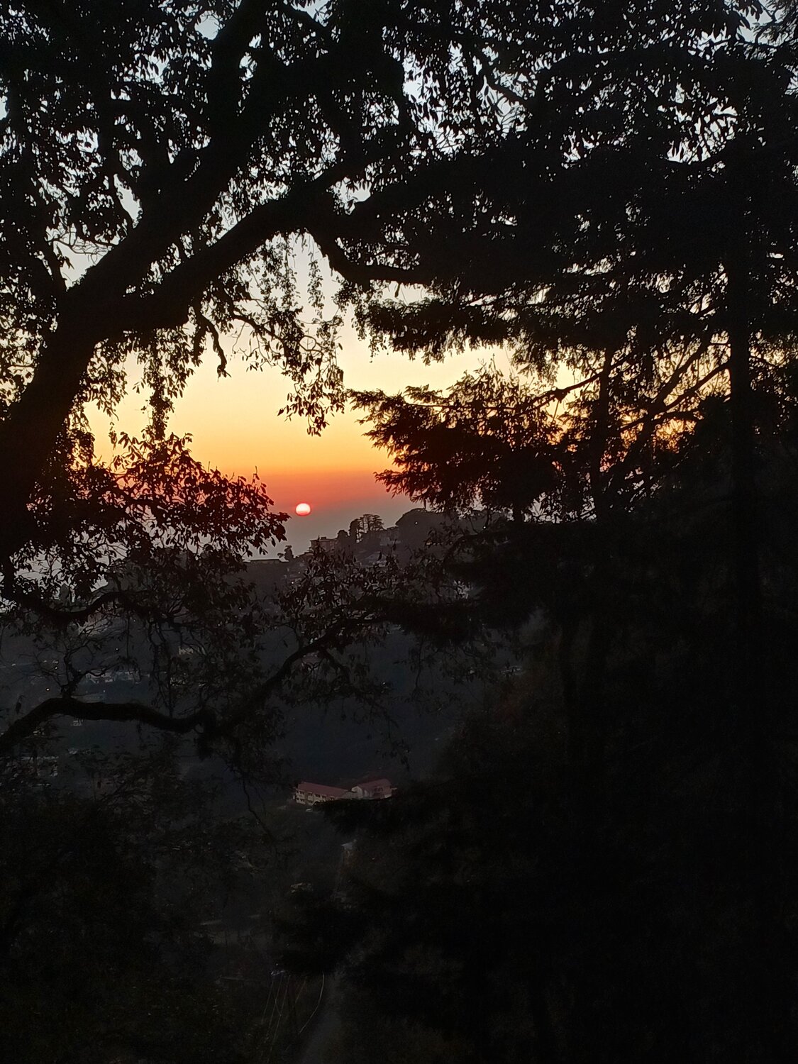Photo #11466981