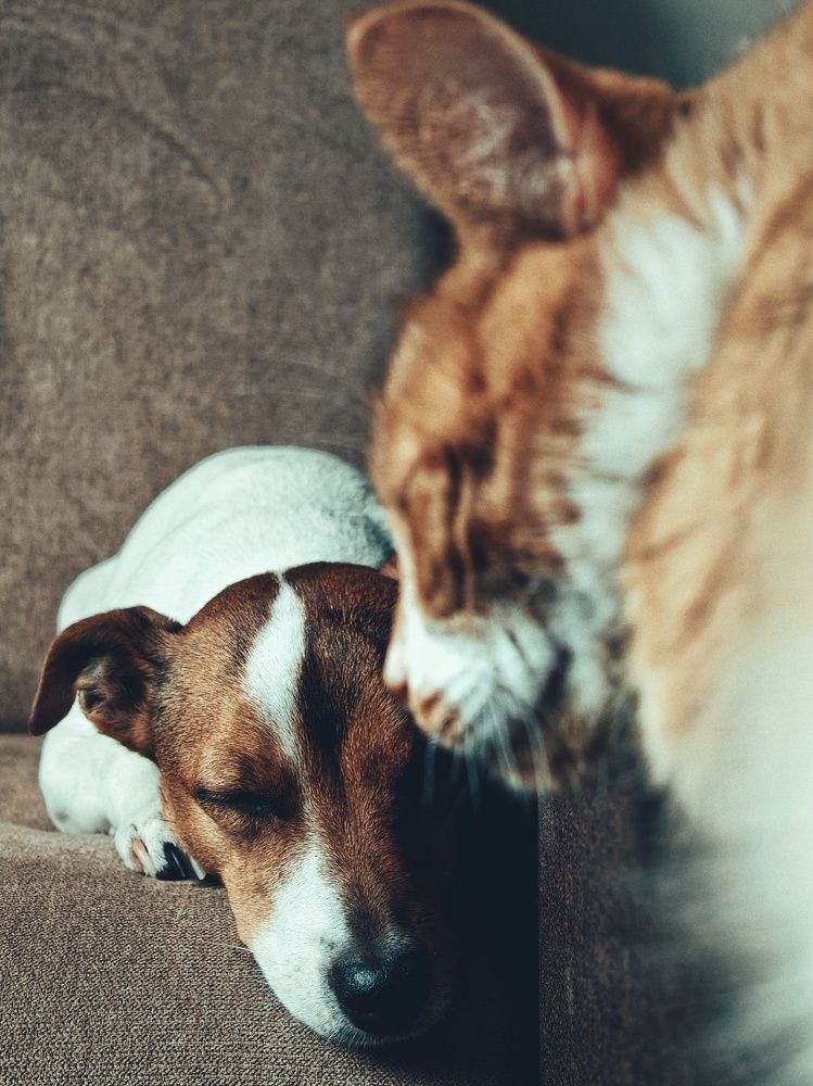 Photograph by Nastassia Krychautsova