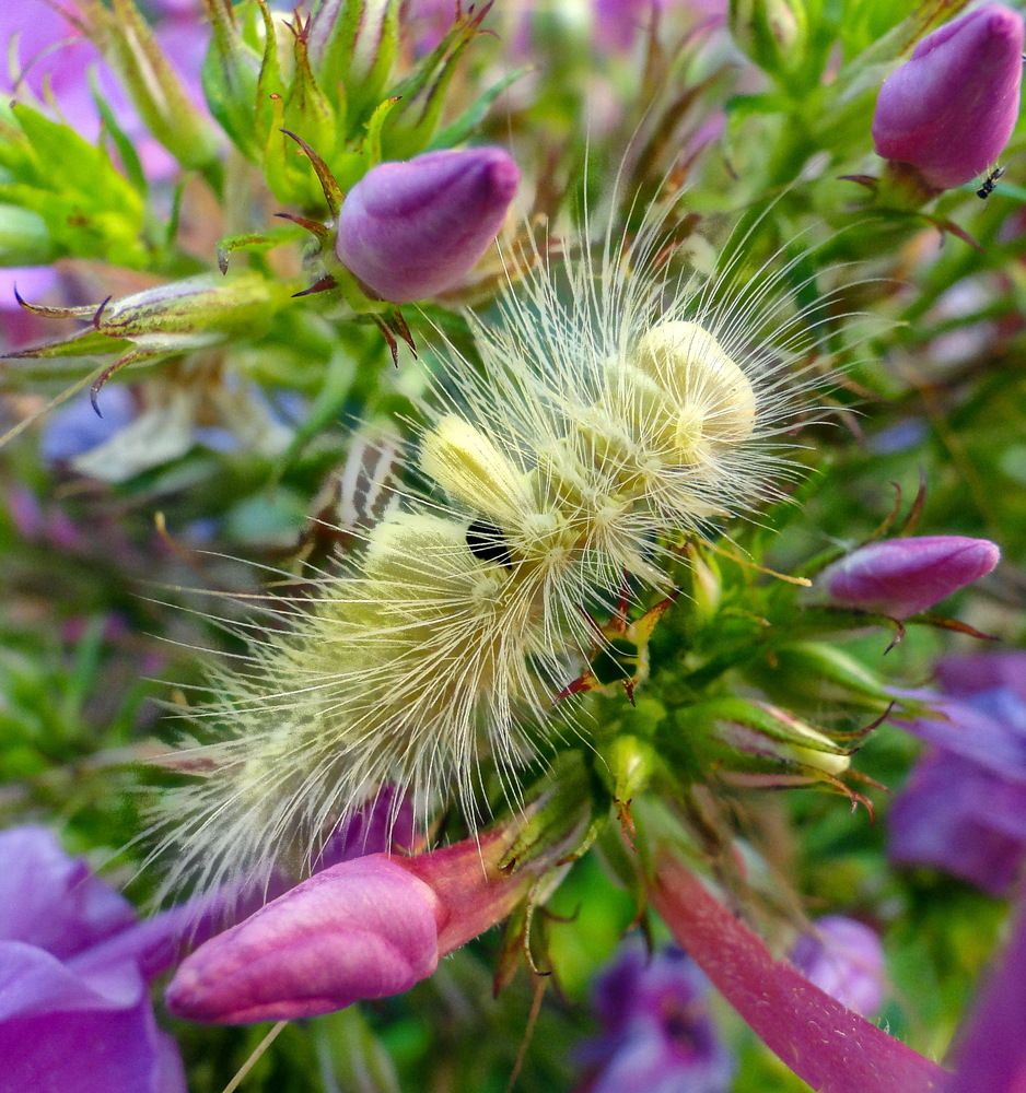 Photograph by Светлана