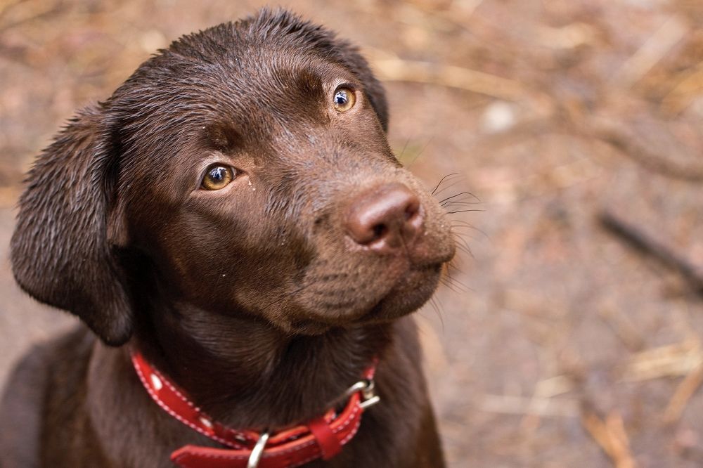 Фотография автора Viktoriya Kim