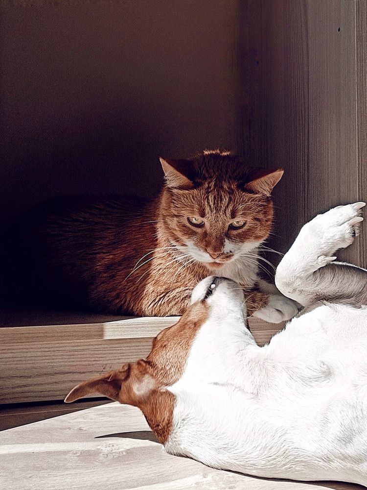 Photograph by Nastassia Krychautsova