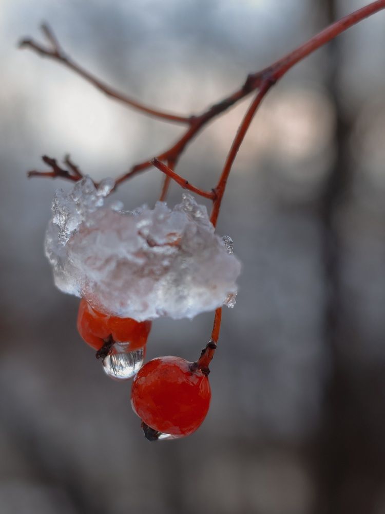 Photograph by Алла Никушкина