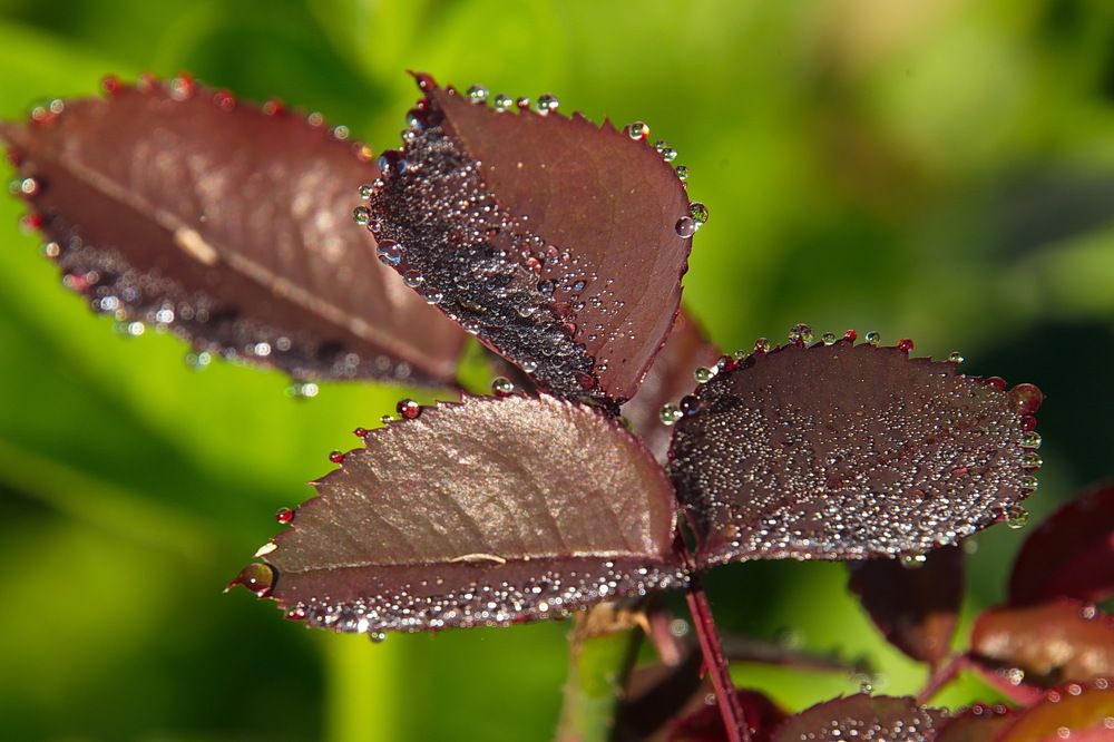 Photograph by Василий Быстрицкий