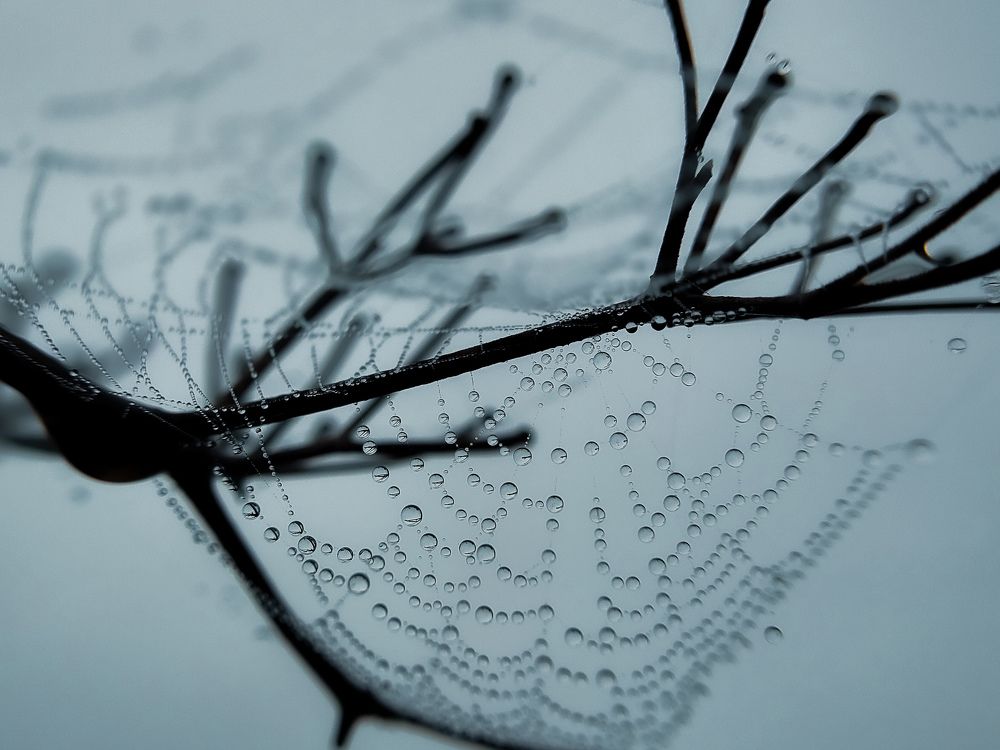 Photograph by Rohit Tonapi