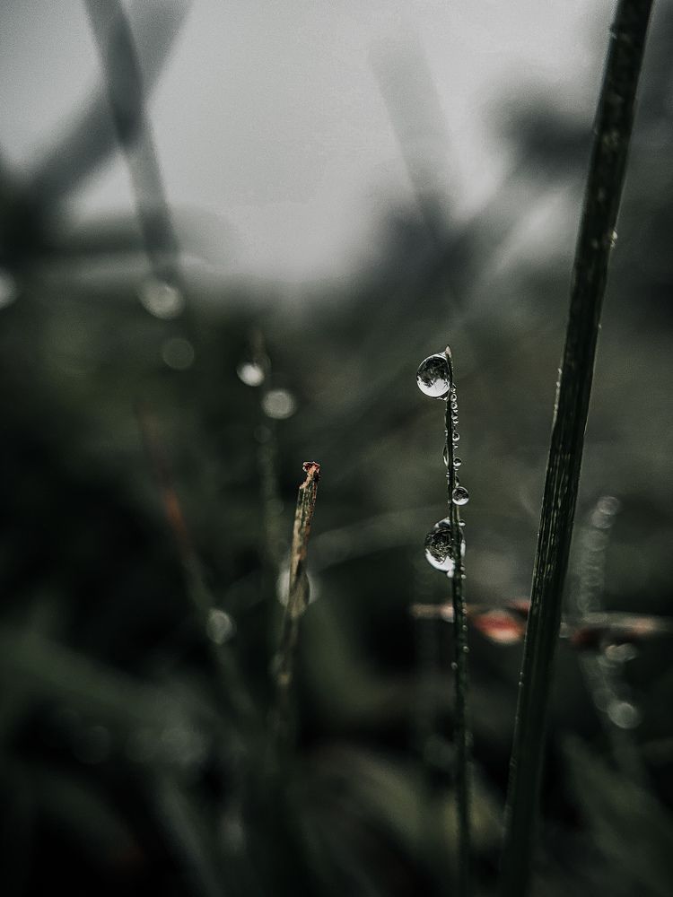 Photograph by Rohit Tonapi