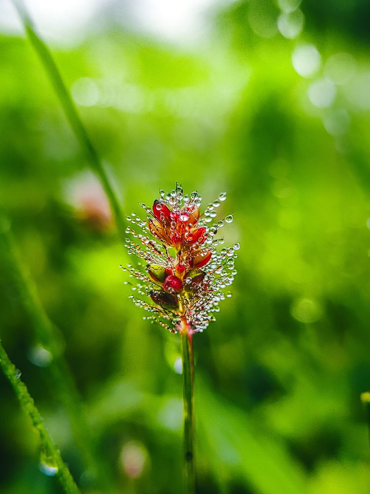 Photograph by Rohit Tonapi