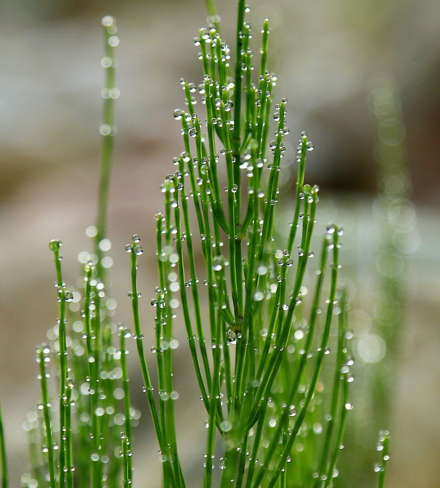 Фотография автора Сергей Кульков