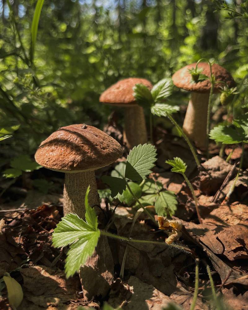 Photograph by Татьяна Ремизова