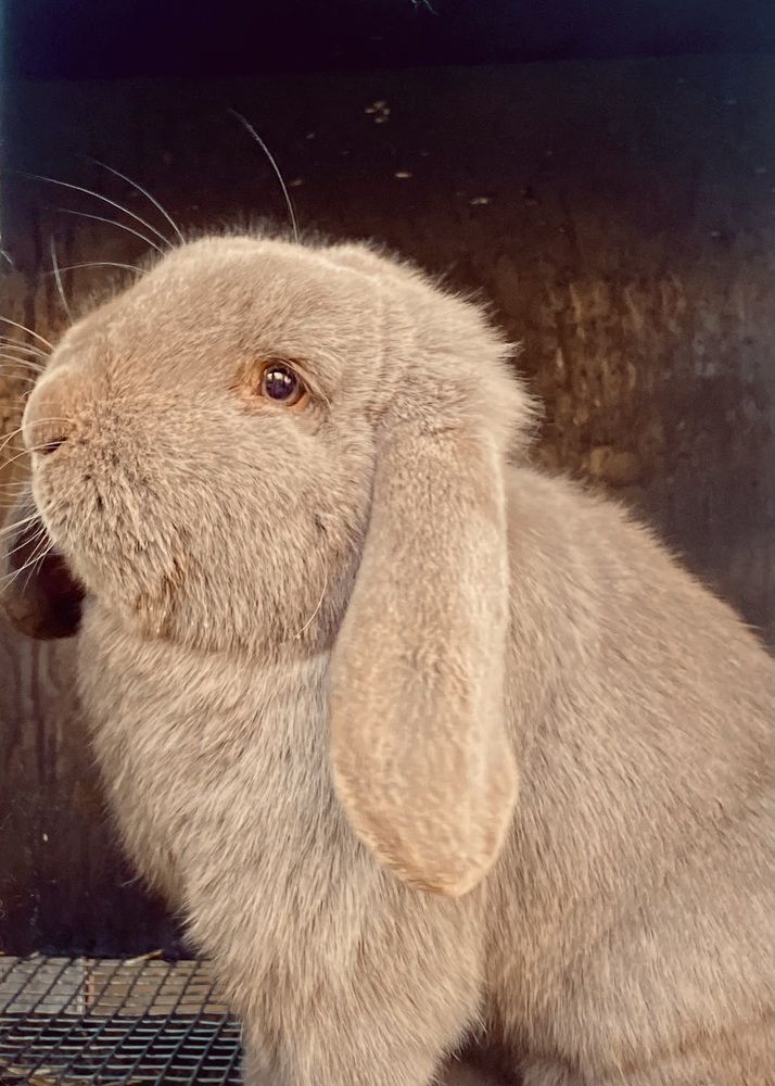 Фотография автора ГУЗАЛИЯ ГАНИЕВА