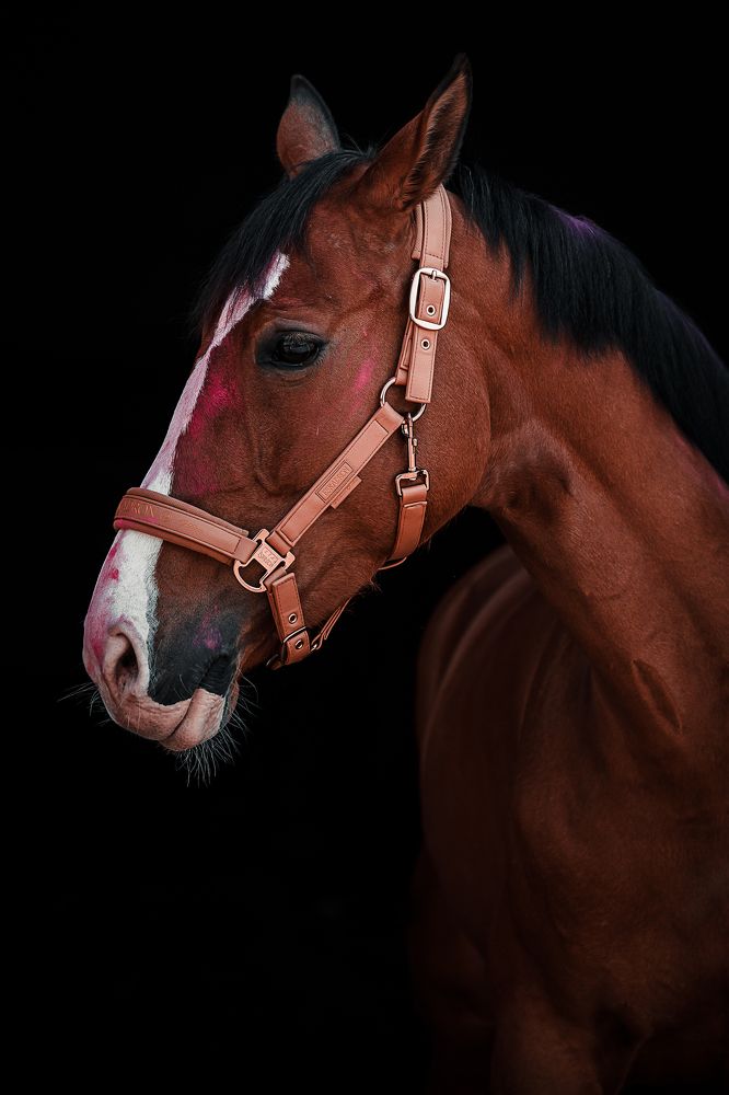 Photograph by Дмитрий Казачек