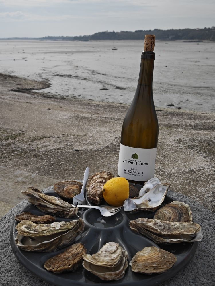 Photograph by Александра Шилова