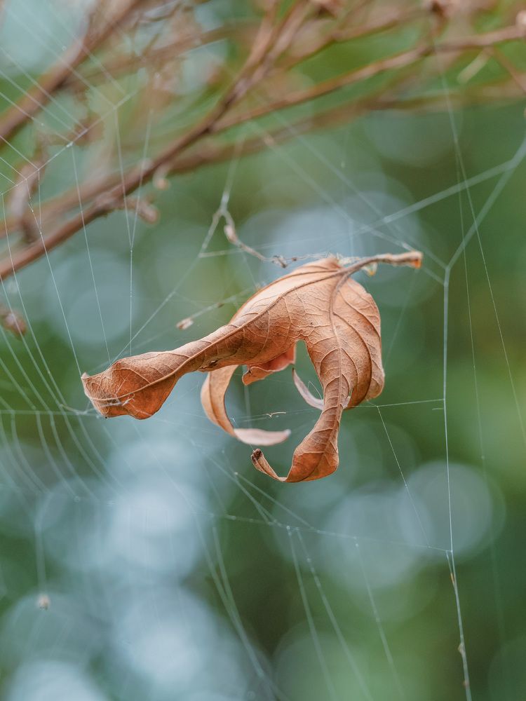 Photograph by Ирина Протченко