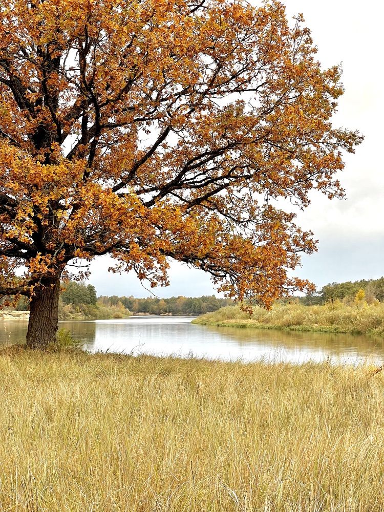 Photograph by Екатерина Павловец