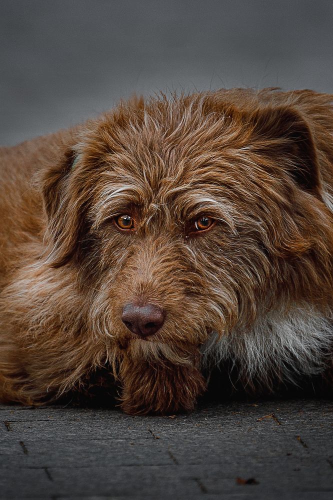 Photograph by Дмитрий Казачек