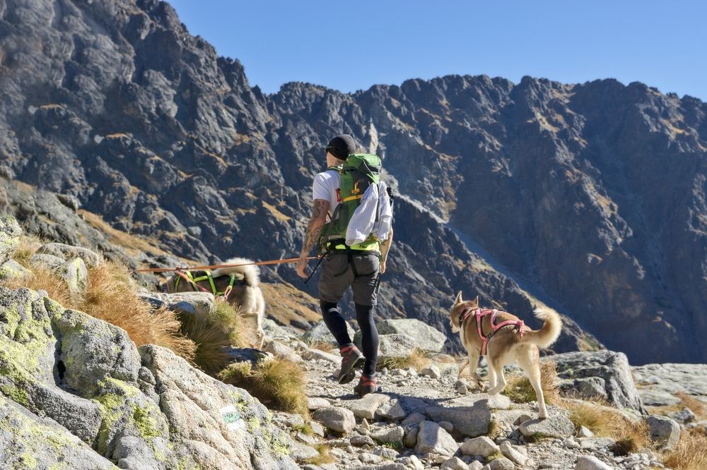 Photograph by Milan Cernak