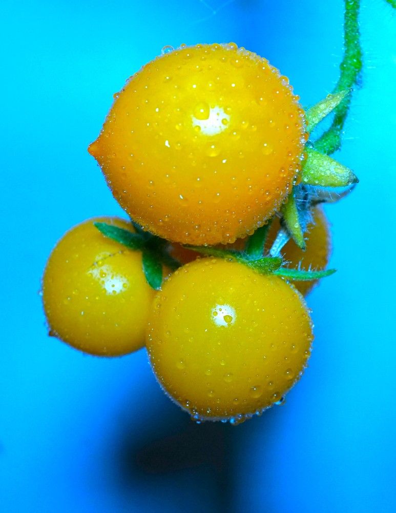 Photograph by Михаил Трусов