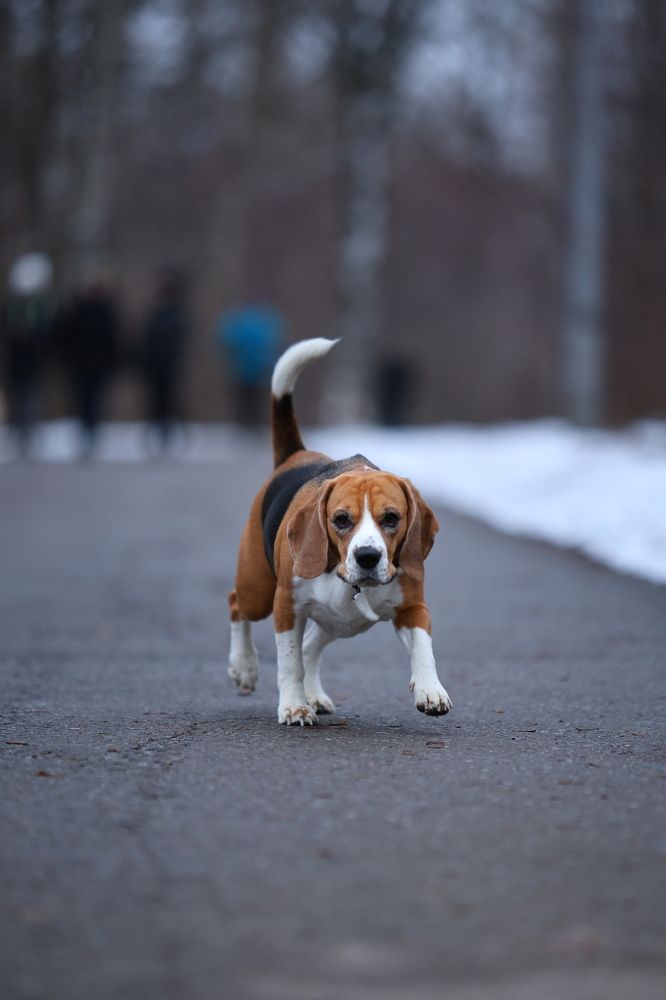 Фотография автора Иван Безрядин