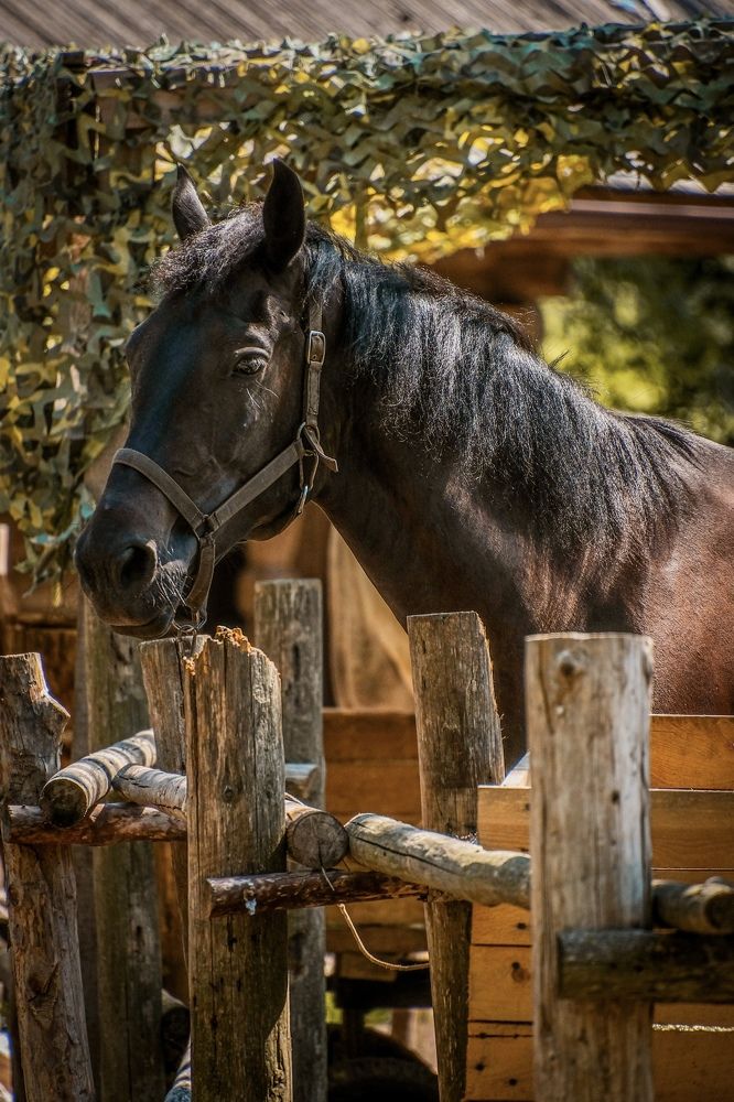 Photograph by Дулова Анастасия