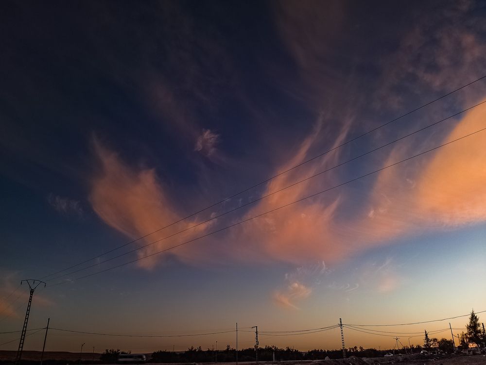 Photo #11467217