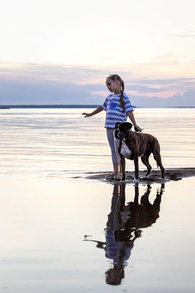 Photograph by Петракова Ольга