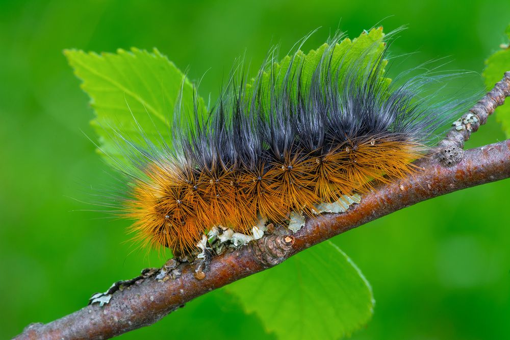 Photograph by Михаил Шмелёв