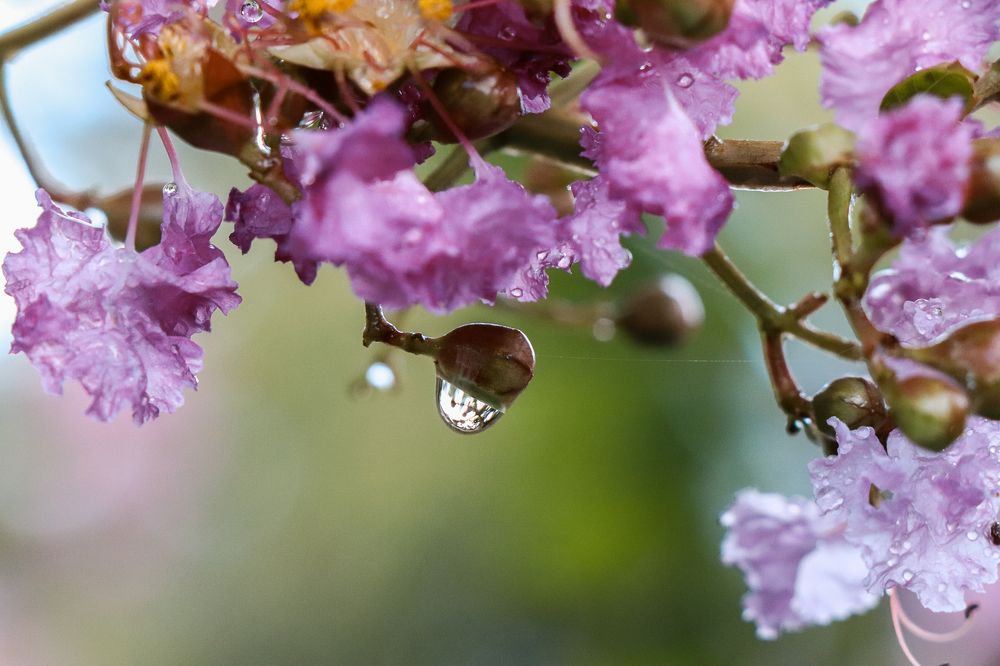 Photograph by Валерия Лунина