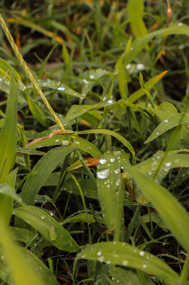 Photograph by Валерия Лунина