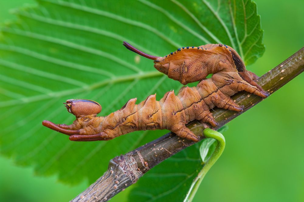 Photograph by Михаил Шмелёв