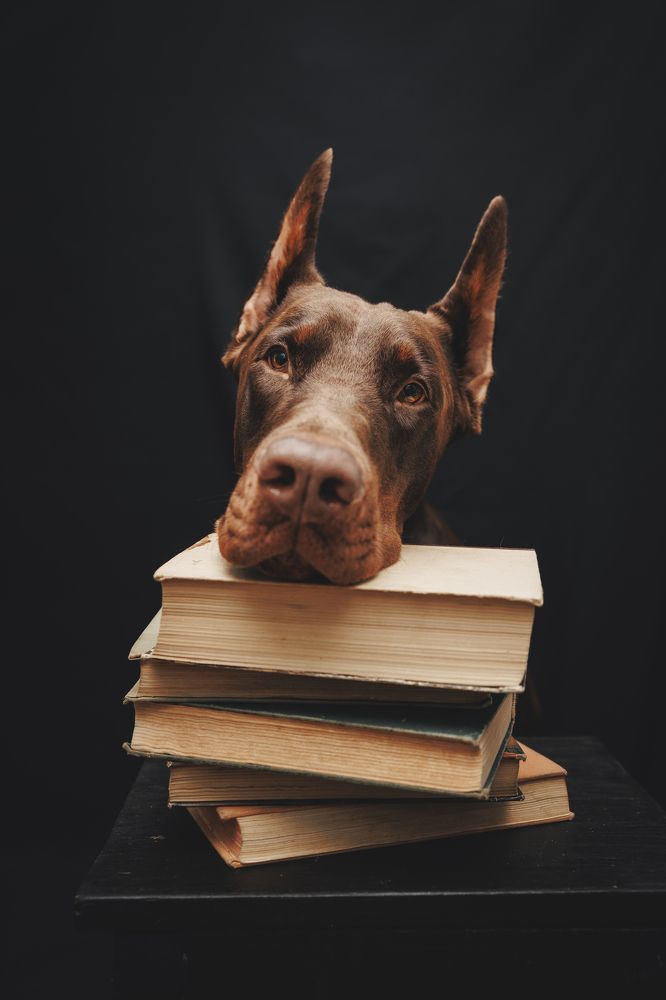 Photograph by Мария Клещенко