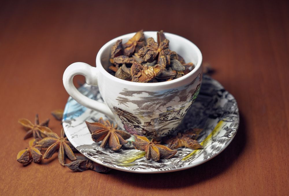 Photograph by Olga Mendosa