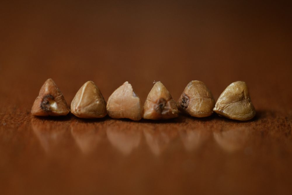 Photograph by Olga Mendosa