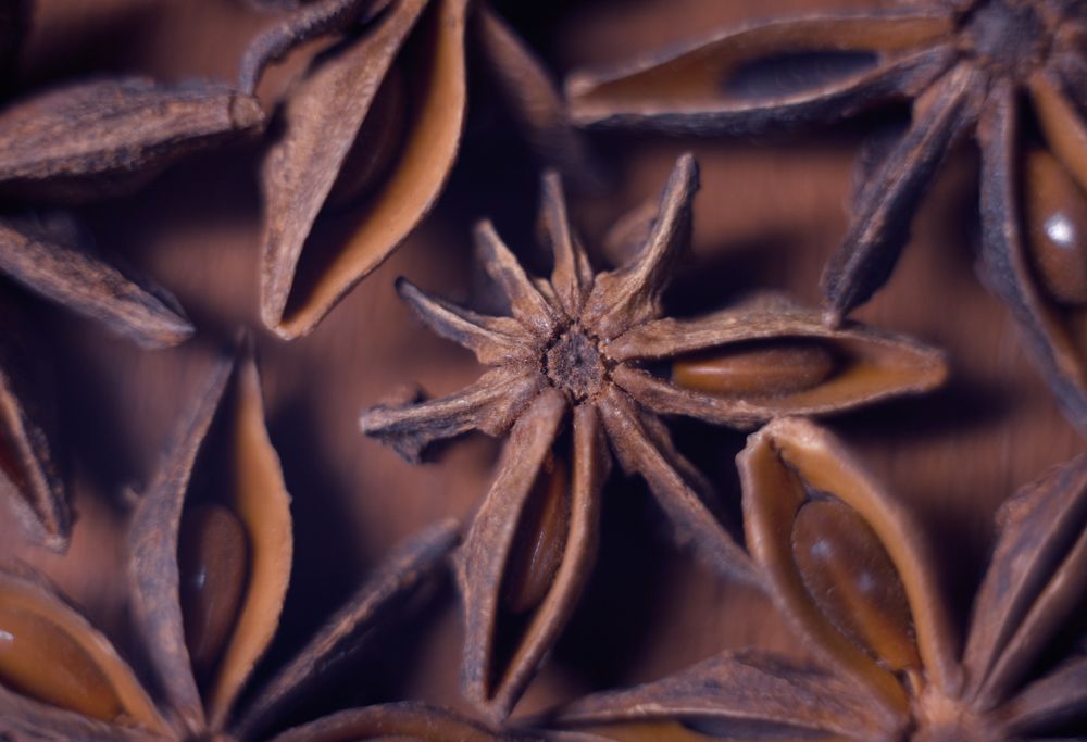 Photograph by Olga Mendosa