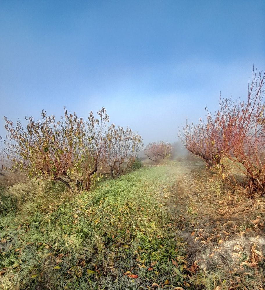 Photograph by Татьяна Ситникова