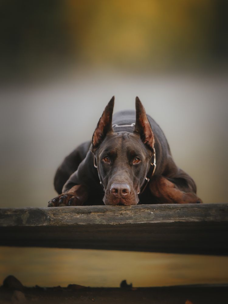 Photograph by Мария Клещенко