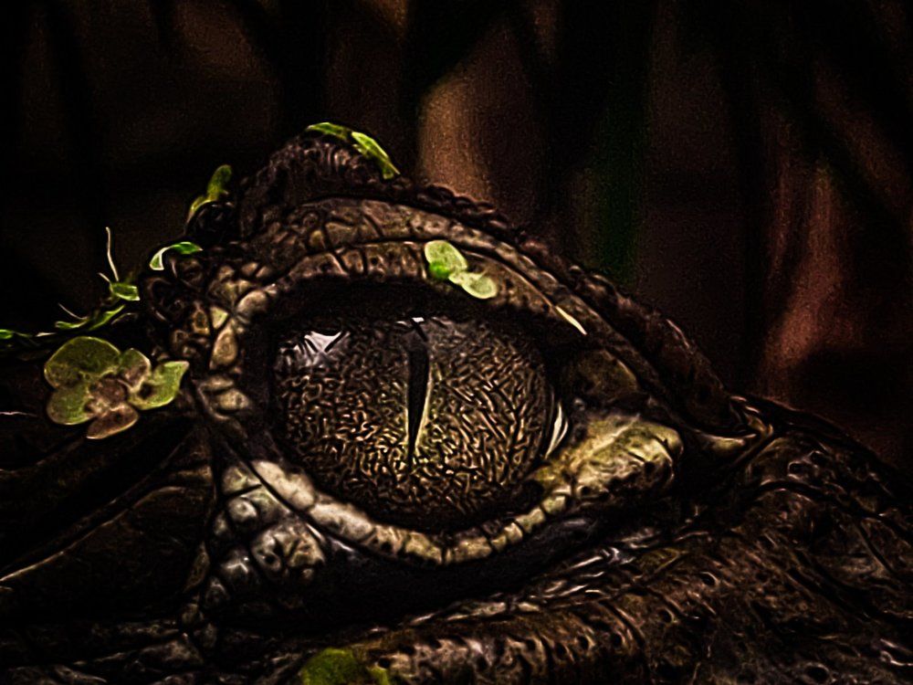 Photograph by Ivan Goshtanar