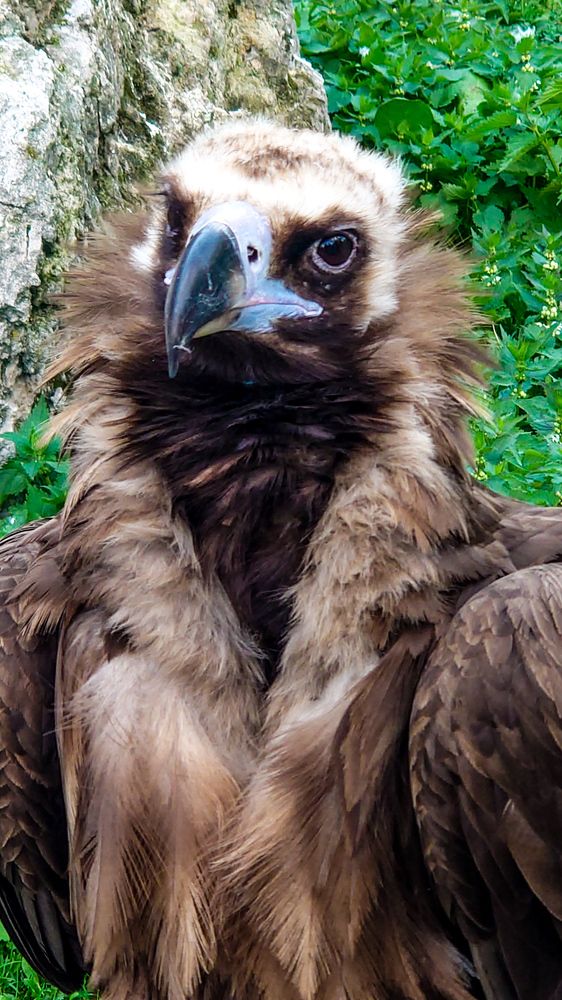 Фотография автора Elena Ku