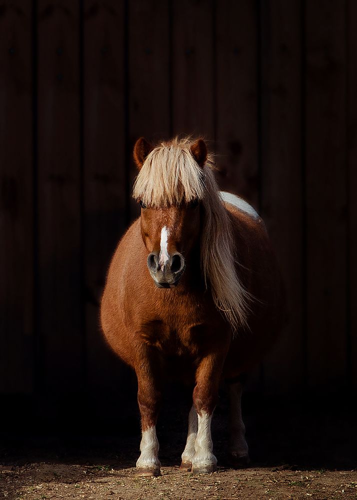 Photograph by Алена Сидорова