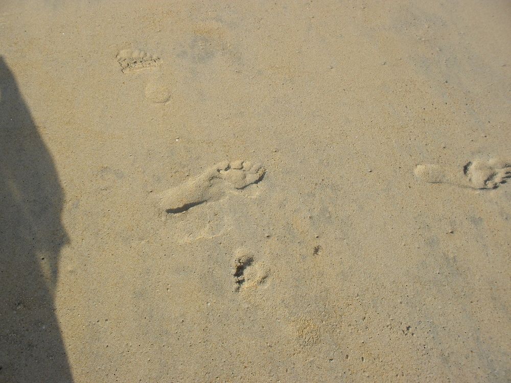 Photograph by Наталия