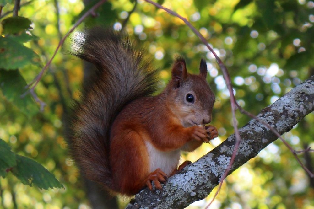 Photograph by Виталий